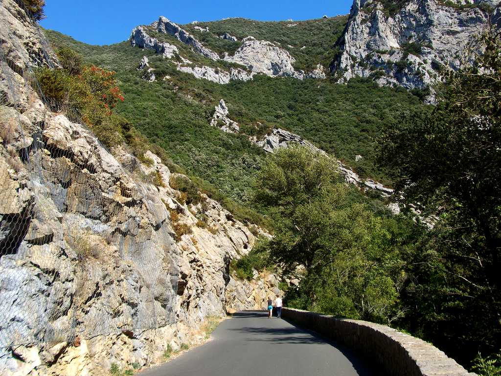 galamus03.jpg