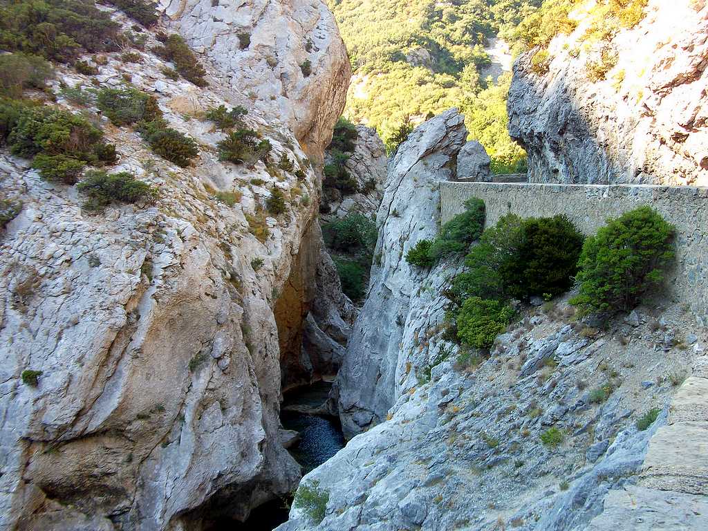 galamus15.jpg