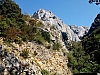 galamus01.jpg