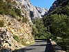 galamus02.jpg