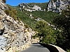 galamus03.jpg