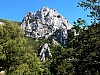 galamus05.jpg