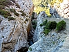 galamus15.jpg