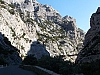 galamus16.jpg