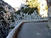 galamus26.jpg