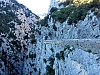 galamus27.jpg