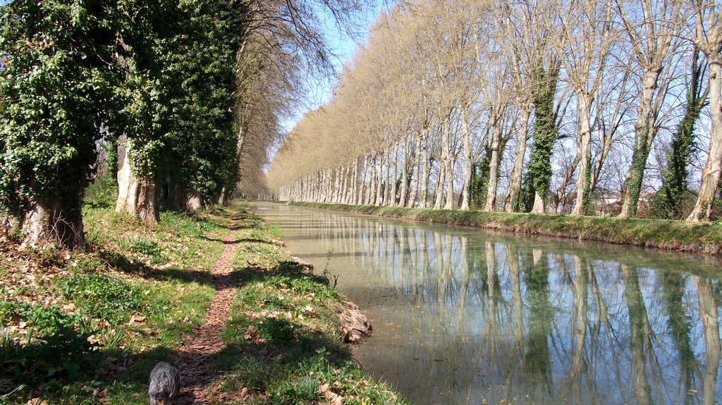 canal-du-midi--07.jpg