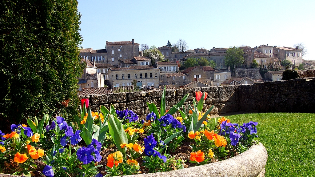 st-emilion-10.jpg