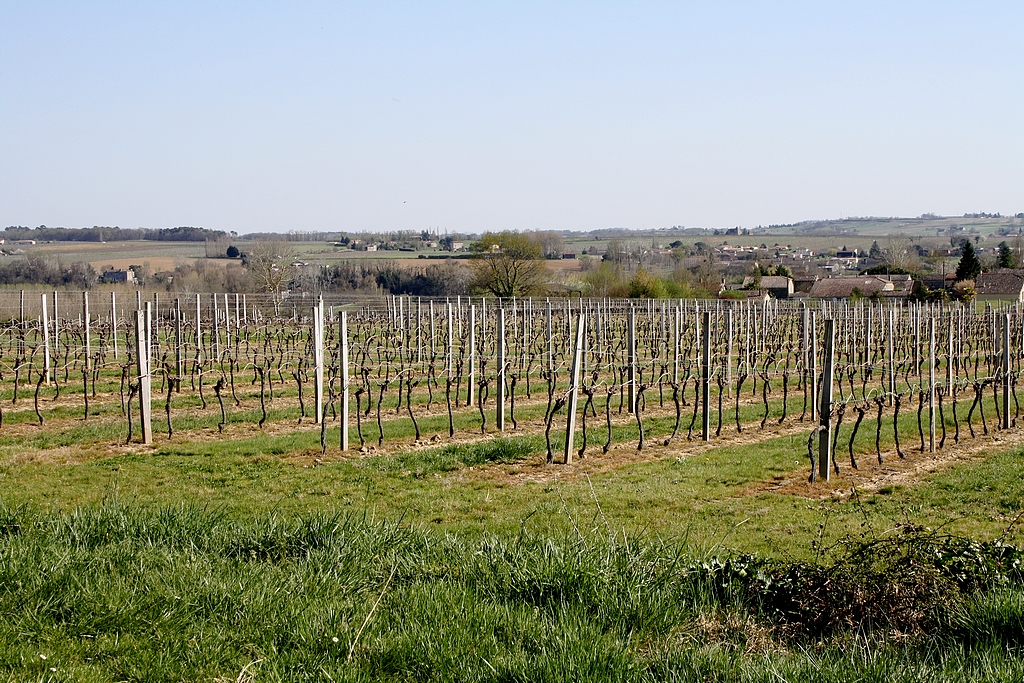 st-martin-de-de-lerrm-10.jpg