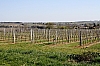 st-martin-de-de-lerrm-10.jpg
