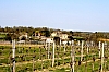 st-martin-de-de-lerrm-13.jpg