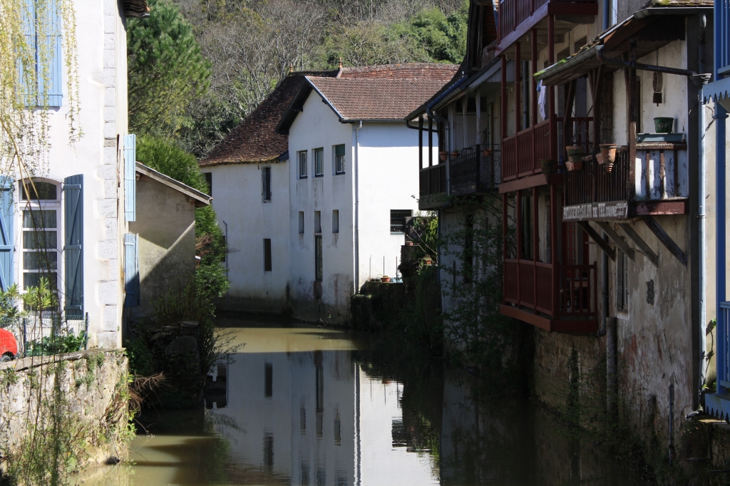 salis-bearn06.jpg