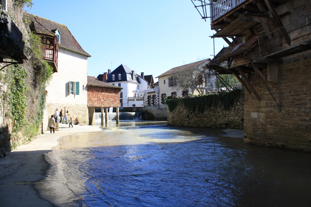 salis-bearn11.jpg