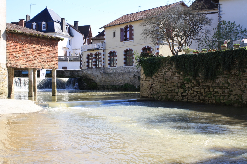 salis-bearn12.jpg