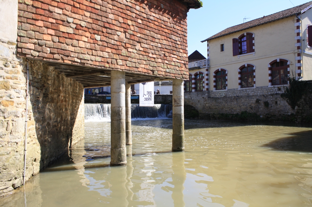 salis-bearn13.jpg