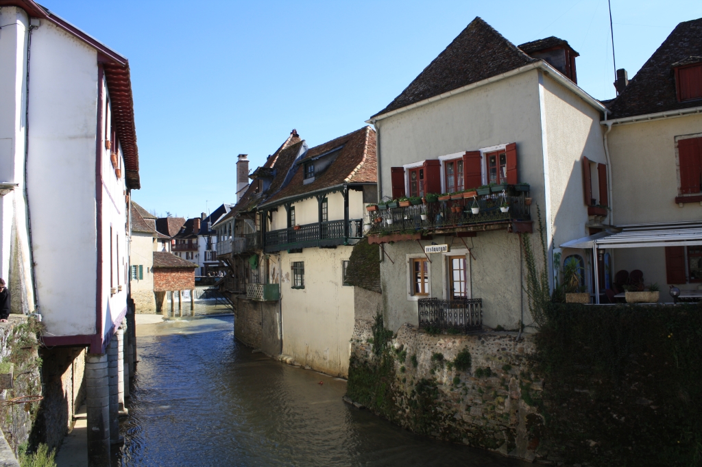 salis-bearn15.jpg