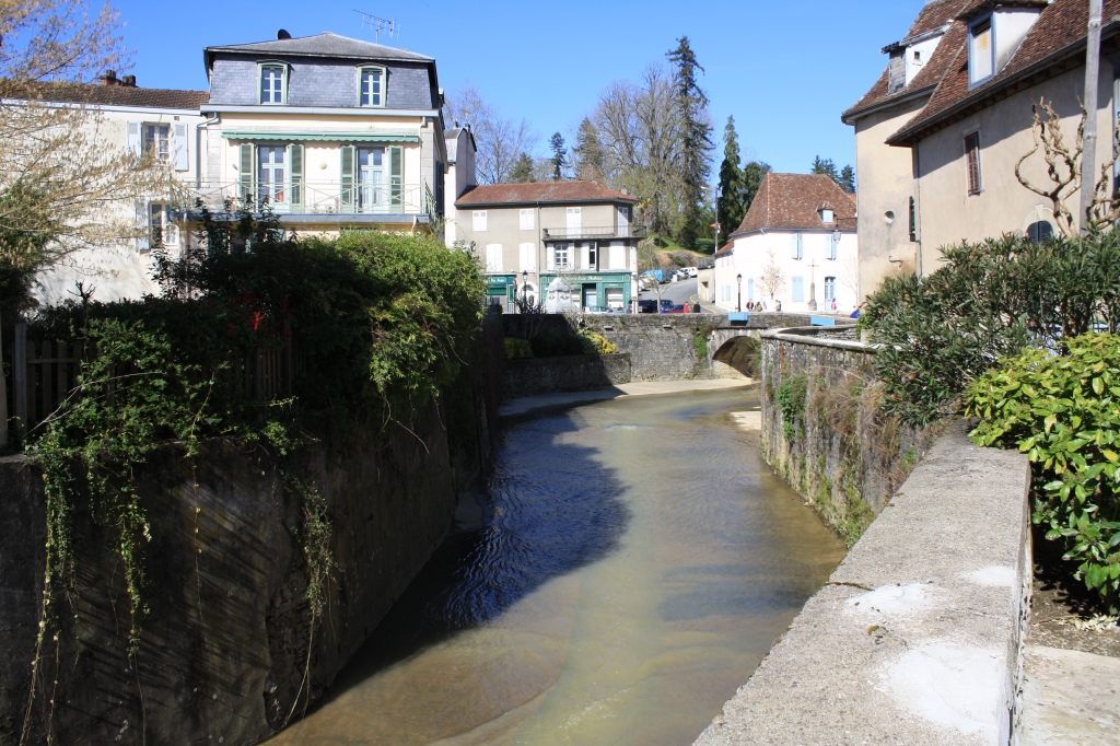 salis-bearn18.jpg