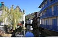salis-bearn05.jpg