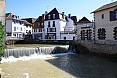salis-bearn07.jpg
