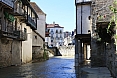 salis-bearn09.jpg