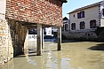 salis-bearn13.jpg