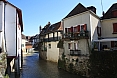 salis-bearn15.jpg