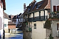 salis-bearn16.jpg