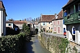salis-bearn19.jpg