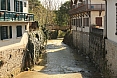salis-bearn21.jpg