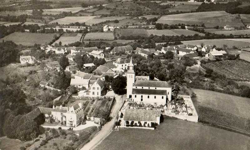 ancien-sauvagnon