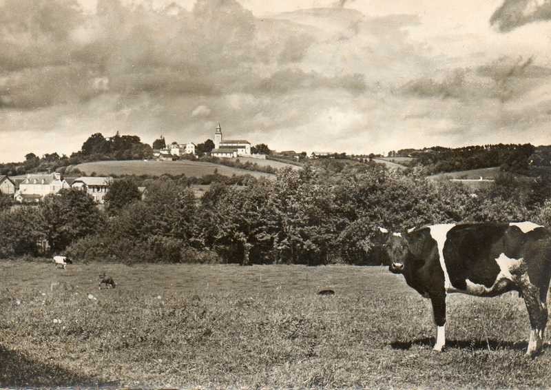 ancien-sauvagnon