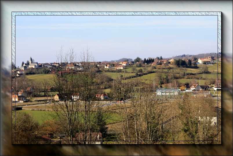 sauvagnon